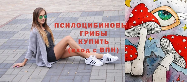 дурь Лихославль